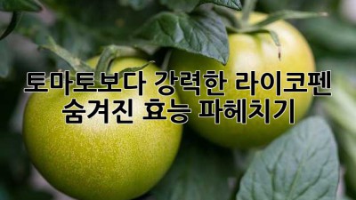 토마토🍅보다 강력한 라이코펜! 숨겨진 효능 파헤치기✨