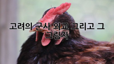 고려의 군사, 외교, 그리고 그 그림자
